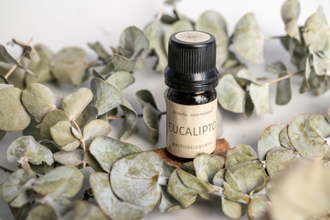 Aceite Esencial Eucalipto x 5 ml - Imagen 2